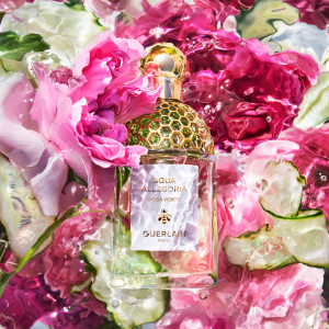 Aqua Allegoria Rosa Verde - Eau de Toilette Aqua Allegoria Rosa Verde - Eau de Toilette